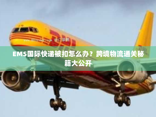 EMS国际快递被扣怎么办？跨境物流通关秘籍大公开