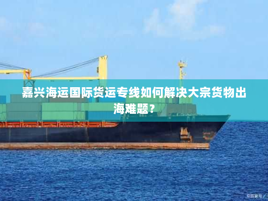 嘉兴海运国际货运专线如何解决大宗货物出海难题？