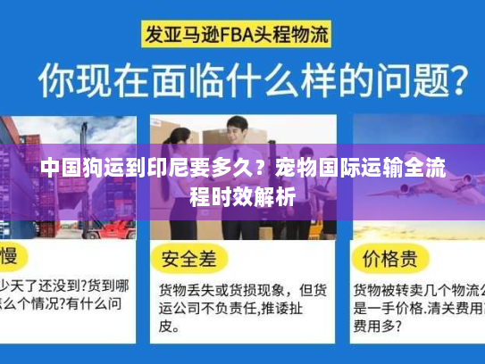 中国狗运到印尼要多久?宠物国际运输全流程时效解析 中国狗运到印尼要多久?宠物国际运输全流程时效解析