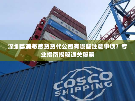 深圳欧美敏感货货代公司有哪些注意事项？专业指南揭秘通关秘籍