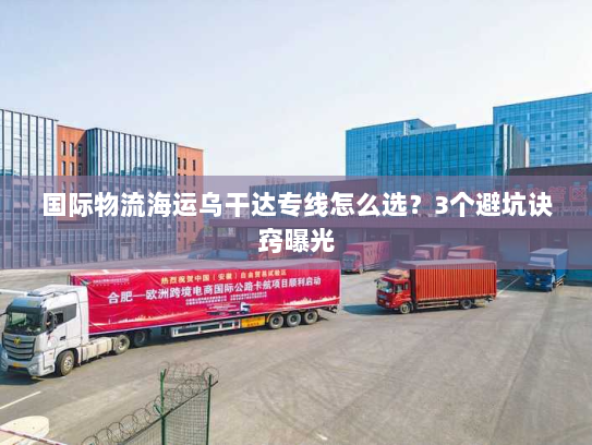 国际物流海运乌干达专线怎么选？3个避坑诀窍曝光