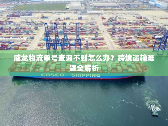 威龙物流单号查询不到怎么办？跨境运输难题全解析