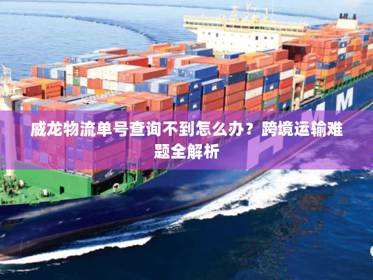 威龙物流单号查询不到怎么办？跨境运输难题全解析