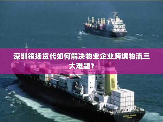 深圳领扬货代如何解决物业企业跨境物流三大难题? 深圳领扬货代如何解决物业企业跨境物流三大难题?