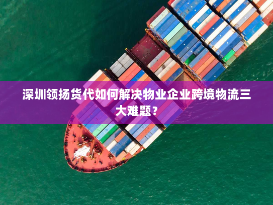 深圳领扬货代如何解决物业企业跨境物流三大难题? 深圳领扬货代如何解决物业企业跨境物流三大难题?