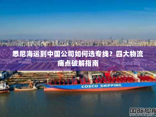 悉尼海运到中国公司如何选专线？四大物流痛点破解指南