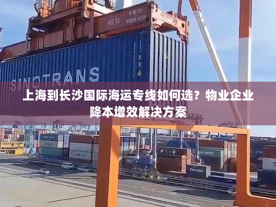 上海到长沙国际海运专线如何选？物业企业降本增效解决方案