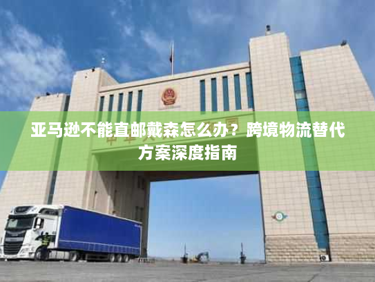 亚马逊不能直邮戴森怎么办？跨境物流替代方案深度指南