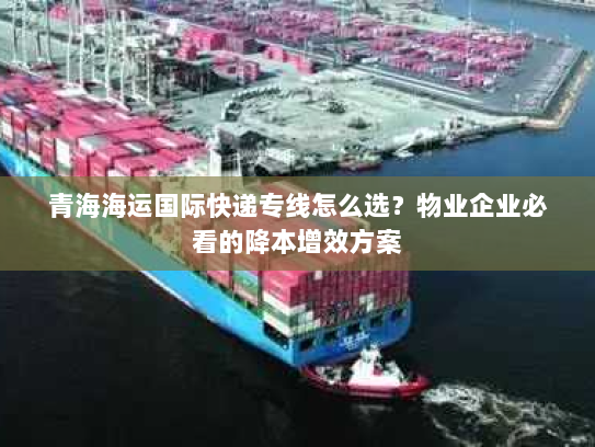 青海海运国际快递专线怎么选？物业企业必看的降本增效方案