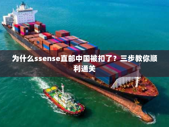 为什么ssense直邮中国被扣了？三步教你顺利通关