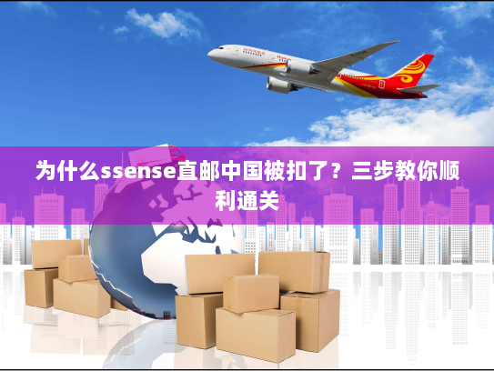 为什么ssense直邮中国被扣了？三步教你顺利通关
