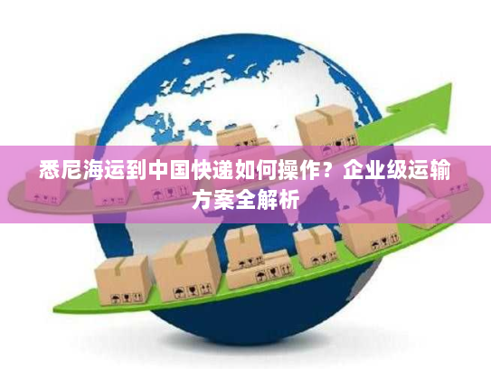 悉尼海运到中国快递如何操作?企业级运输方案全解析 悉尼海运到中国快递如何操作?企业级运输方案全解析