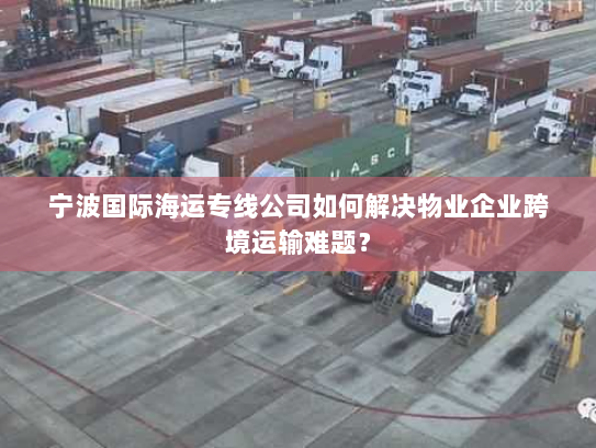 宁波国际海运专线公司如何解决物业企业跨境运输难题？
