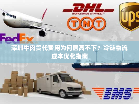 深圳牛肉货代费用为何居高不下？冷链物流成本优化指南