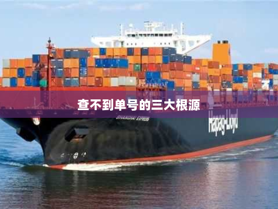 查不到单号的三大根源 查不到单号的三大根源