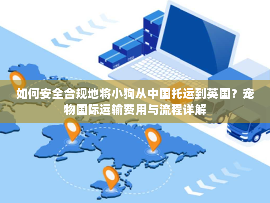 如何安全合规地将小狗从中国托运到英国?宠物国际运输费用与流程详解 如何安全合规地将小狗从中国托运到英国?宠物国际运输费用与流程详解
