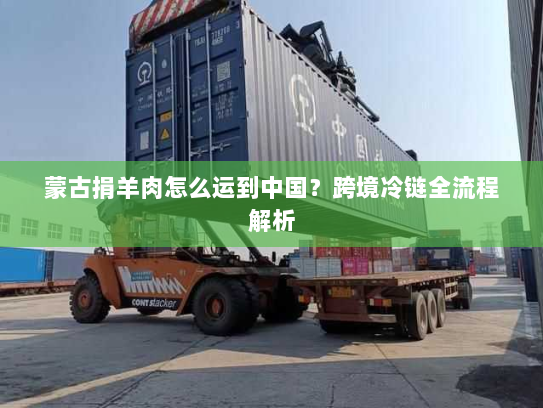 蒙古捐羊肉怎么运到中国?跨境冷链全流程解析 蒙古捐羊肉怎么运到中国?跨境冷链全流程解析