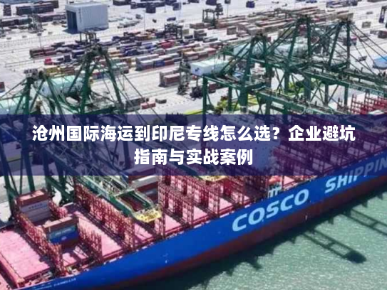 沧州国际海运到印尼专线怎么选？企业避坑指南与实战案例