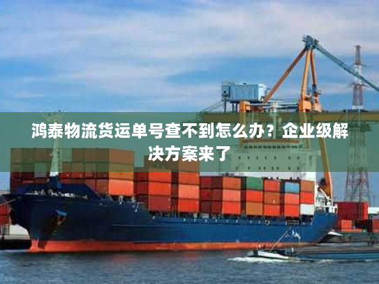 鸿泰物流货运单号查不到怎么办？企业级解决方案来了