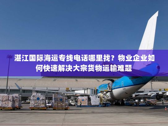 湛江国际海运专线电话哪里找？物业企业如何快速解决大宗货物运输难题
