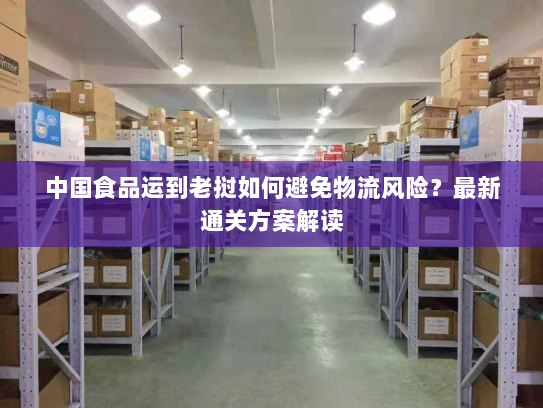 中国食品运到老挝如何避免物流风险?最新通关方案解读 中国食品运到老挝如何避免物流风险?最新通关方案解读