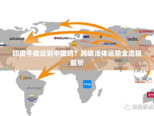 印度牛能运到中国吗？跨境活体运输全流程解析