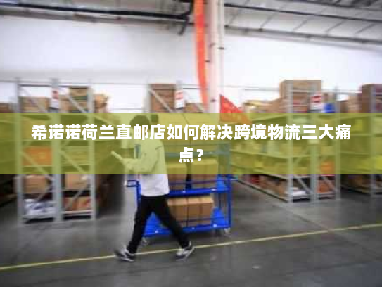 希诺诺荷兰直邮店如何解决跨境物流三大痛点？