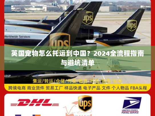 英国宠物怎么托运到中国?2024全流程指南与避坑清单 英国宠物怎么托运到中国?2024全流程指南与避坑清单