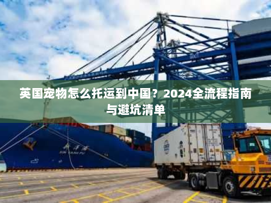 英国宠物怎么托运到中国？2024全流程指南与避坑清单
