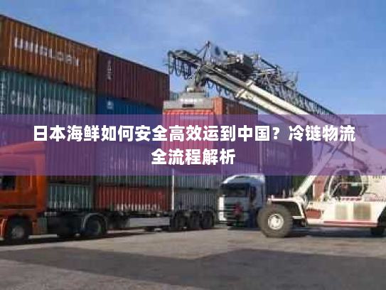 日本海鲜如何安全高效运到中国？冷链物流全流程解析