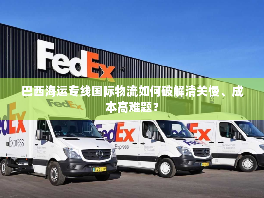 巴西海运专线国际物流如何破解清关慢、成本高难题？