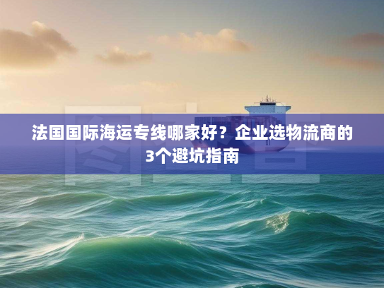 法国国际海运专线哪家好？企业选物流商的3个避坑指南
