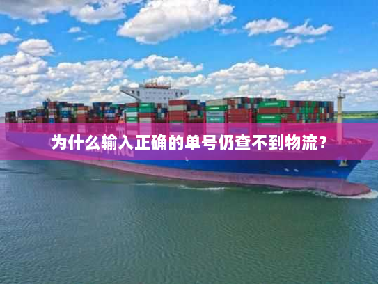 为什么输入正确的单号仍查不到物流？
