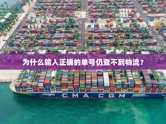 为什么输入正确的单号仍查不到物流？