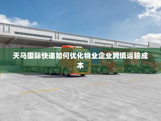 天马国际快递如何优化物业企业跨境运输成本 天马国际快递如何优化物业企业跨境运输成本