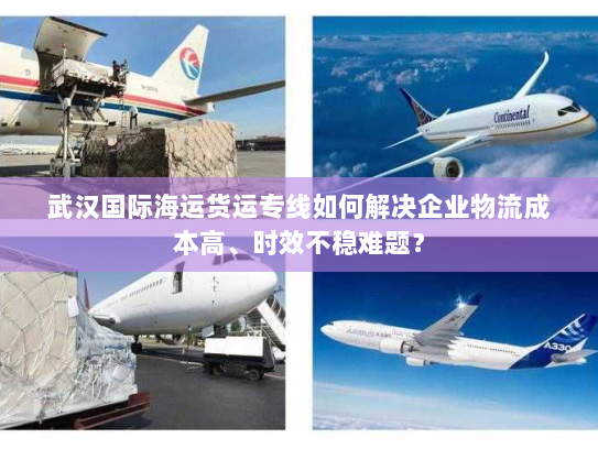 武汉国际海运货运专线如何解决企业物流成本高、时效不稳难题？