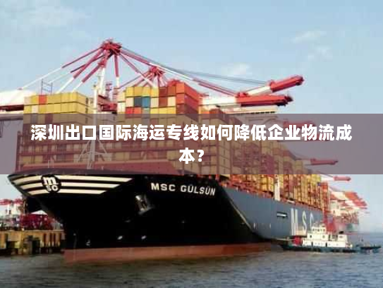 深圳出口国际海运专线如何降低企业物流成本？