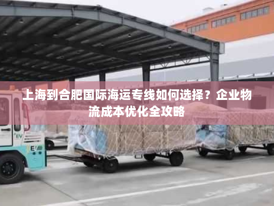 上海到合肥国际海运专线如何选择？企业物流成本优化全攻略