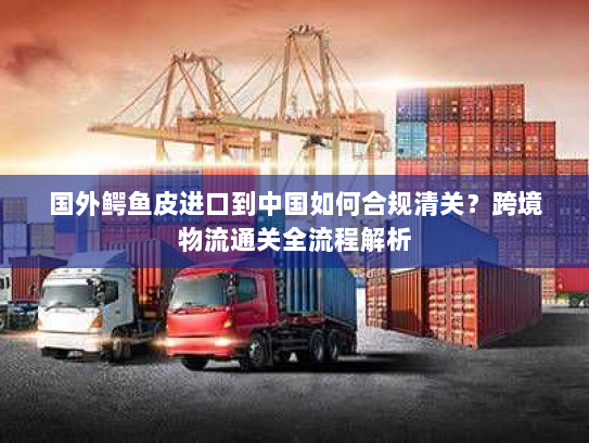 国外鳄鱼皮进口到中国如何合规清关？跨境物流通关全流程解析