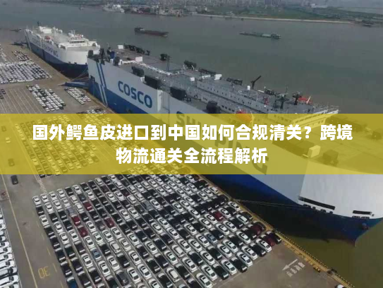 国外鳄鱼皮进口到中国如何合规清关？跨境物流通关全流程解析