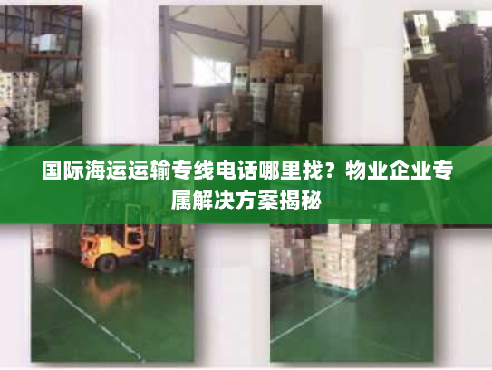 国际海运运输专线电话哪里找？物业企业专属解决方案揭秘