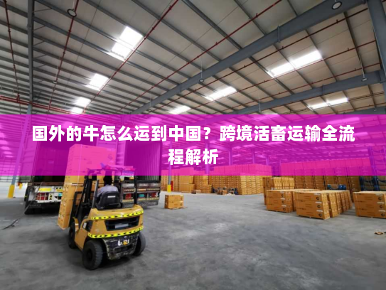 国外的牛怎么运到中国？跨境活畜运输全流程解析