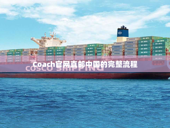 Coach官网直邮中国的完整流程 Coach官网直邮中国的完整流程