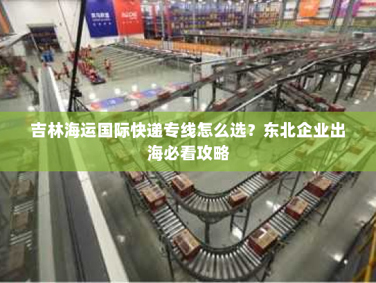 吉林海运国际快递专线怎么选？东北企业出海必看攻略