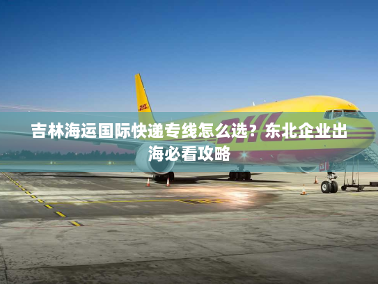 吉林海运国际快递专线怎么选？东北企业出海必看攻略