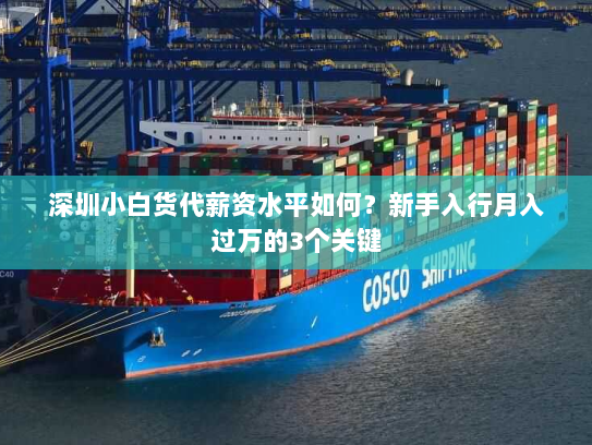 深圳小白货代薪资水平如何?新手入行月入过万的3个关键 深圳小白货代薪资水平如何?新手入行月入过万的3个关键