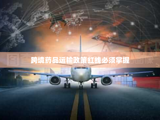 跨境药品运输政策红线必须掌握