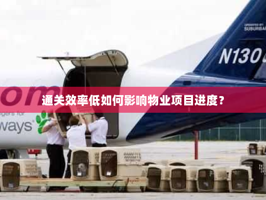 通关效率低如何影响物业项目进度？