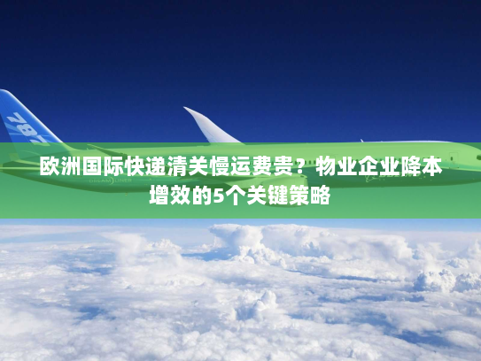 欧洲国际快递清关慢运费贵？物业企业降本增效的5个关键策略