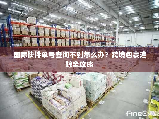 国际快件单号查询不到怎么办？跨境包裹追踪全攻略